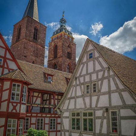 Steinhaeuser Hof Neustadt an der Weinstraße Zewnętrze zdjęcie