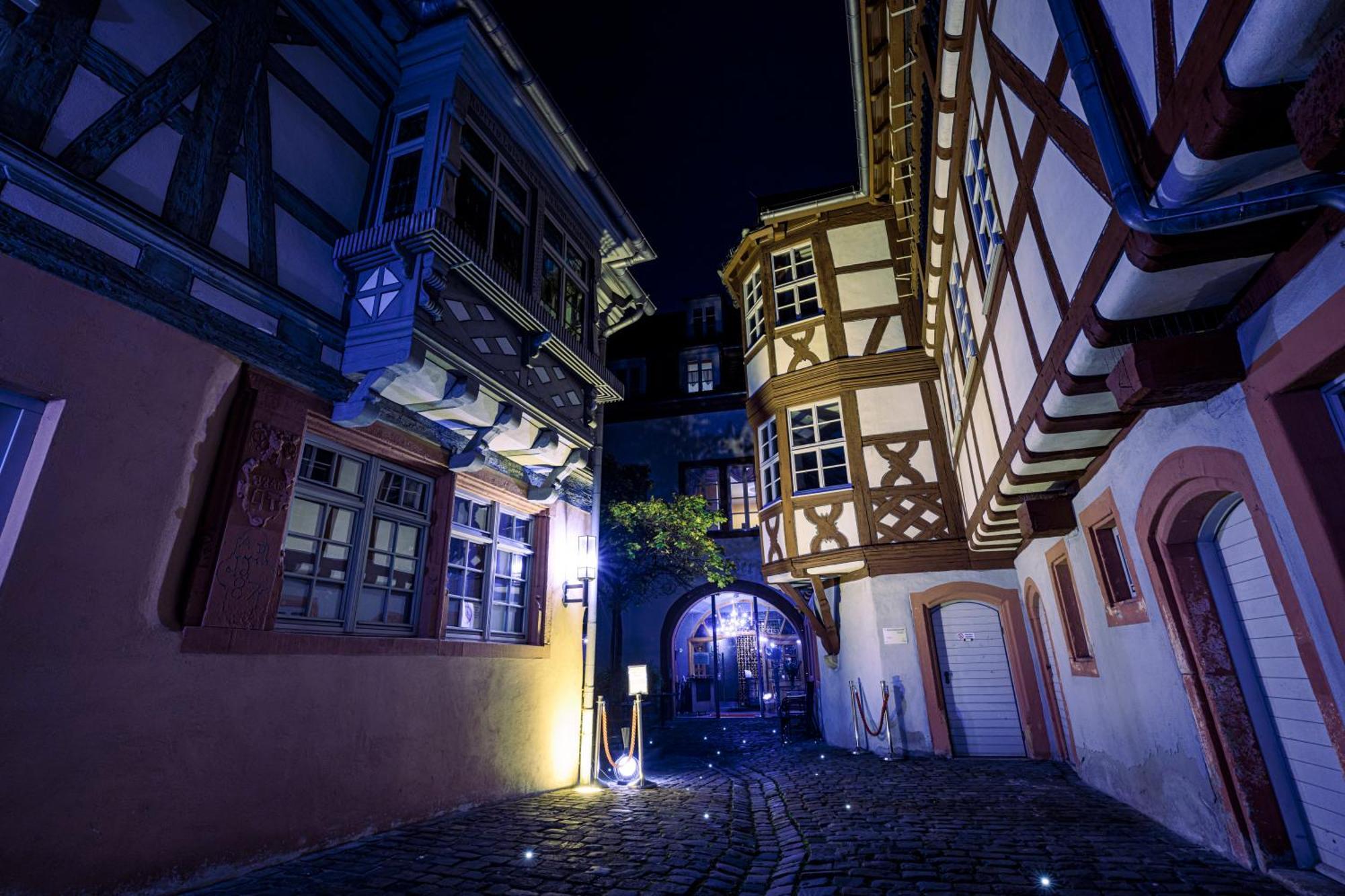 Steinhaeuser Hof Neustadt an der Weinstraße Zewnętrze zdjęcie