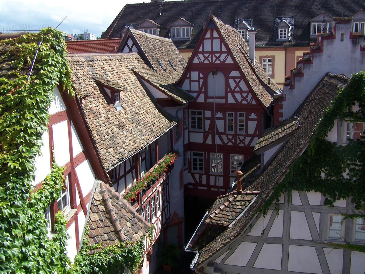 Steinhaeuser Hof Neustadt an der Weinstraße Zewnętrze zdjęcie