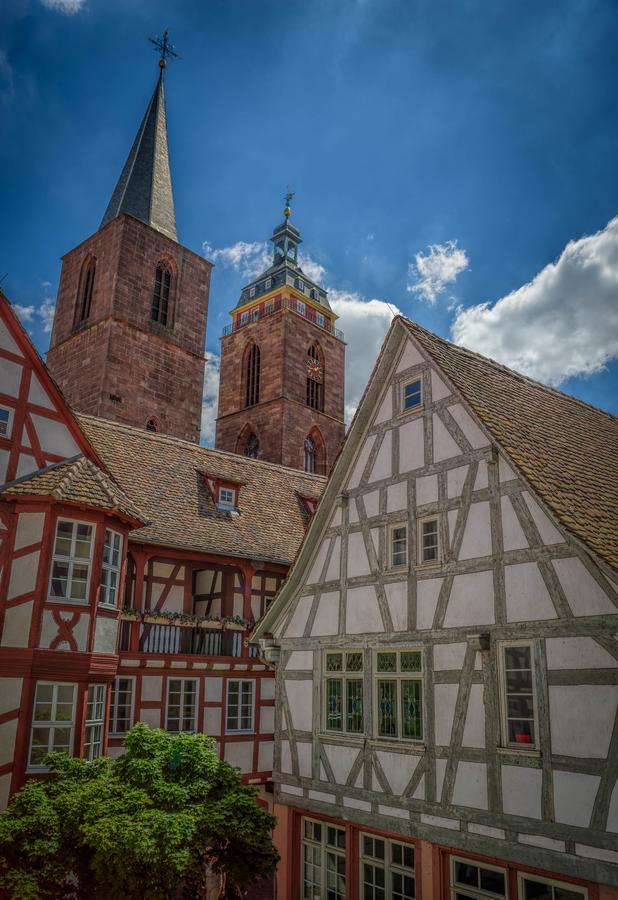 Steinhaeuser Hof Neustadt an der Weinstraße Zewnętrze zdjęcie