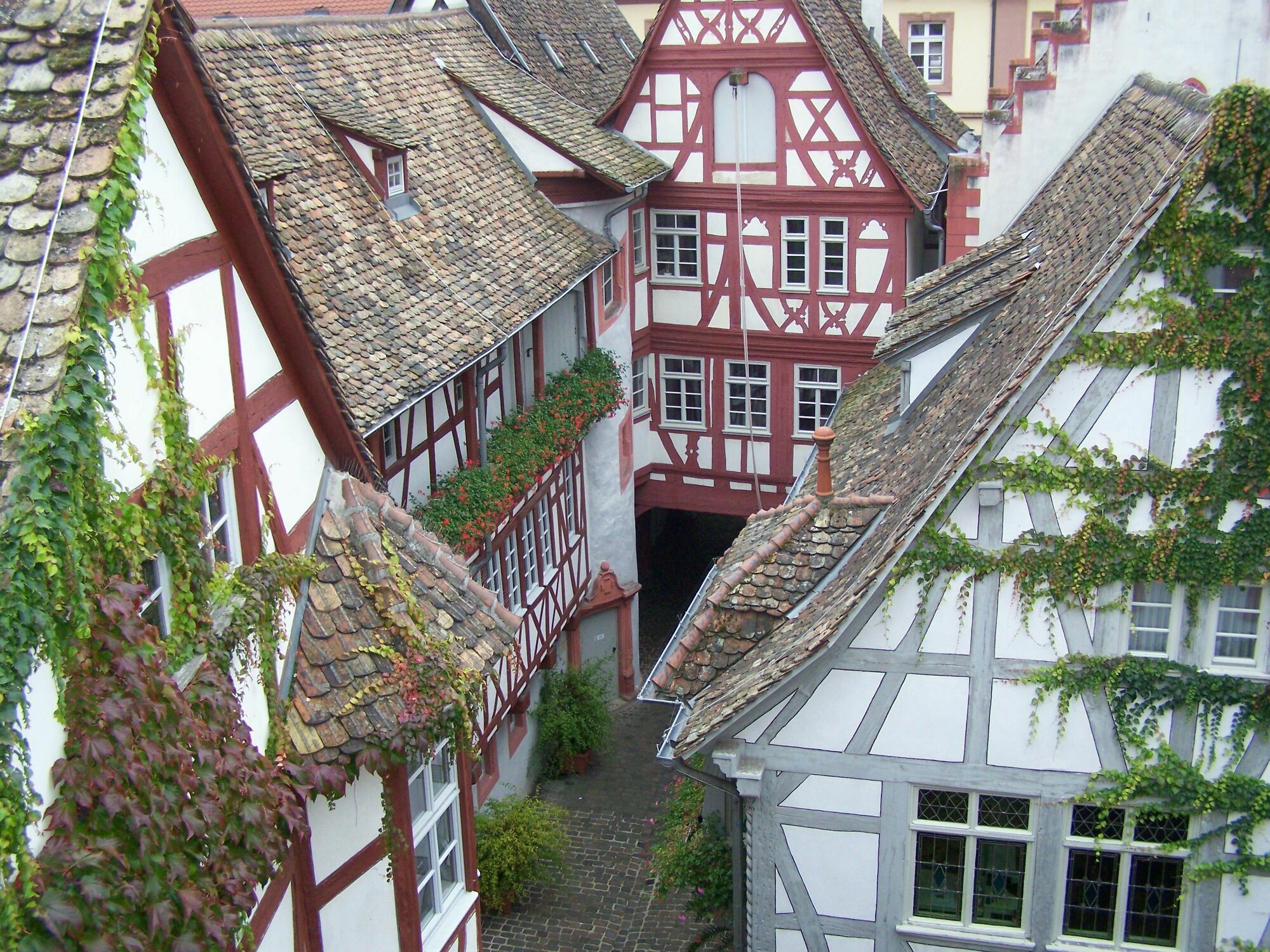 Steinhaeuser Hof Neustadt an der Weinstraße Zewnętrze zdjęcie